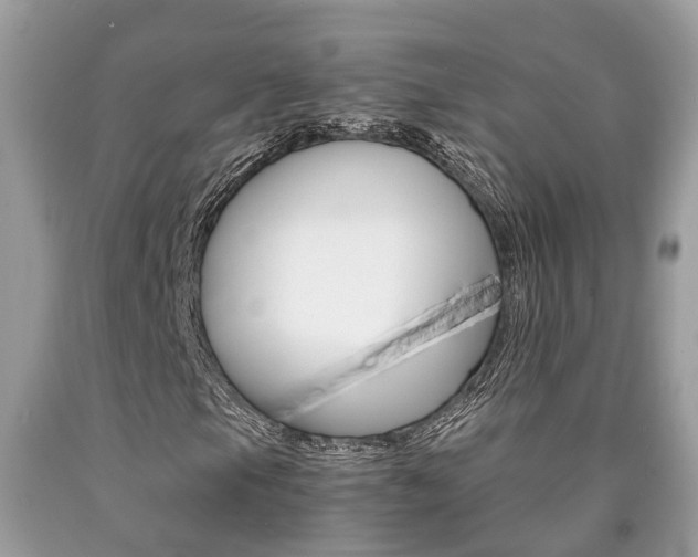X0000090701105200707200922
