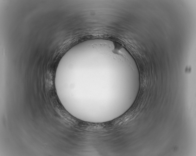 X0000090701106200707200922