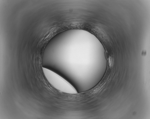 X0000090701107200707200922