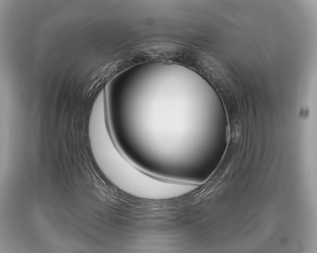 X0000090701108200707200922