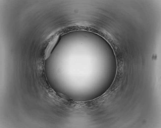 X0000090701110200707200922