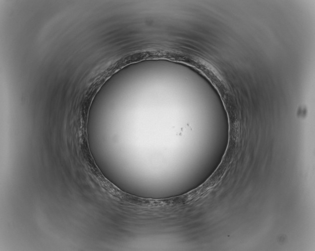 X0000090701111200707200922