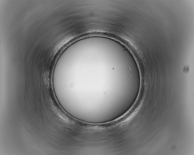 X0000090701113200707200922