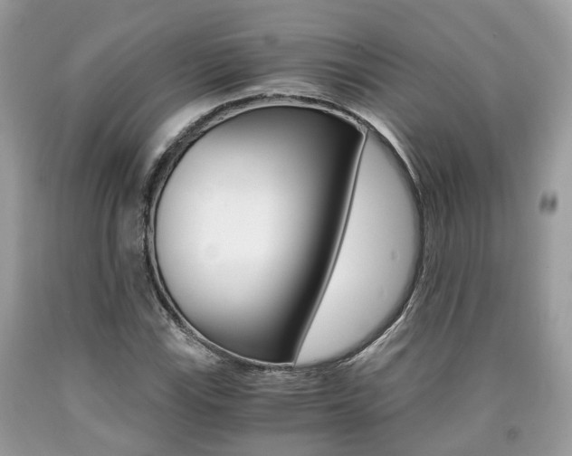 X0000090701115200707200922
