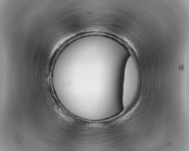 X0000090701117200707200922
