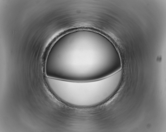 X0000090701118200707200922