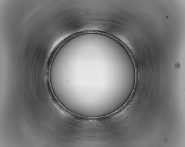 X0000090701119200707200922