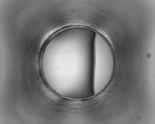 X0000090701120200707200922