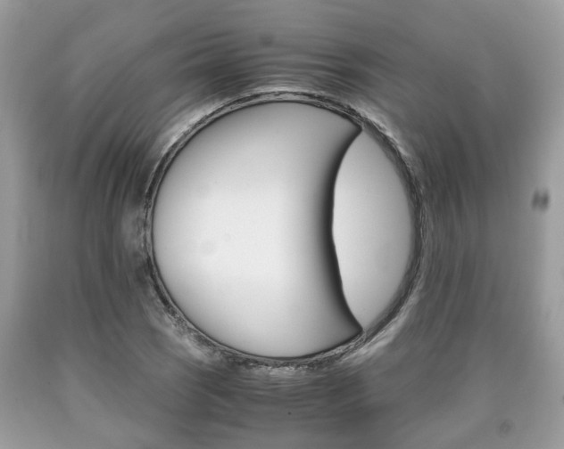 X0000090701121200707200922