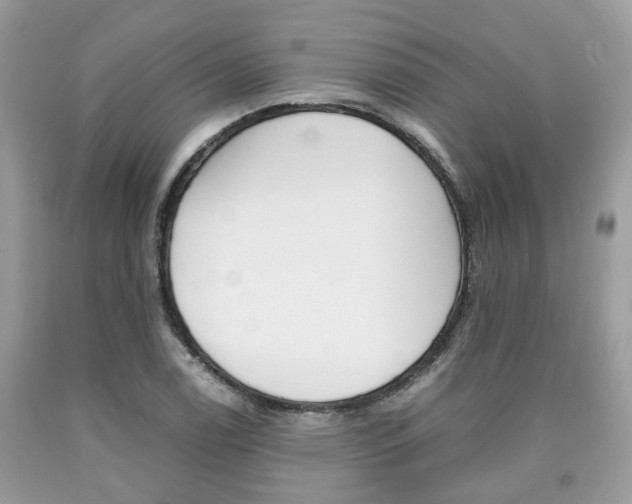 X0000090701122200707200922