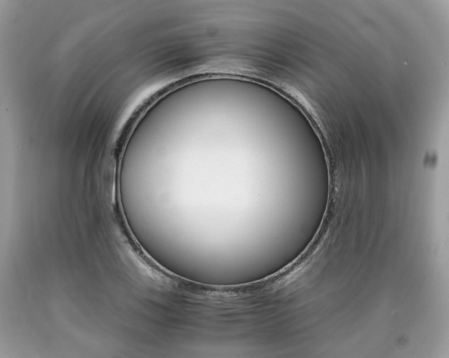 X0000090701123200707200922