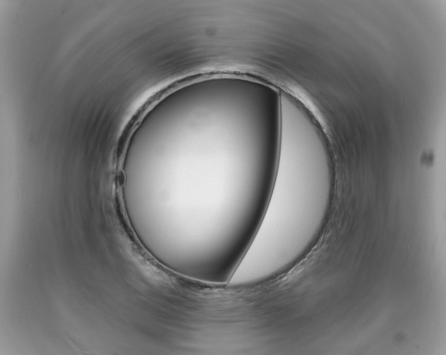 X0000090701124200707200922