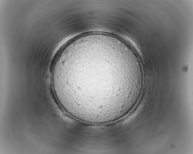 X0000090701125200707200922