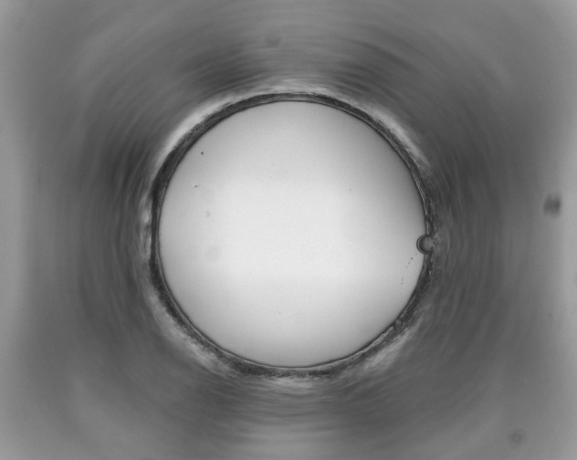 X0000090701126200707200922