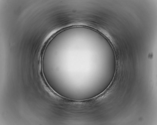 X0000090701127200707200922