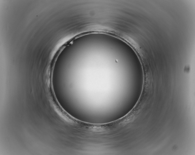 X0000090701128200707200922
