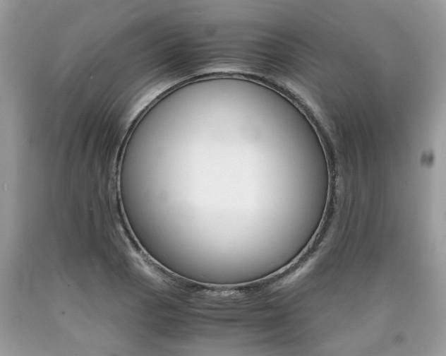 X0000090701129200707200922