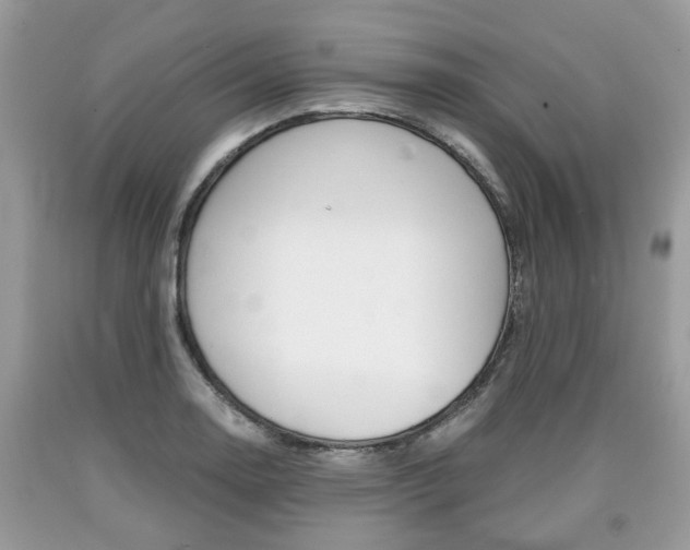 X0000090701130200707200922