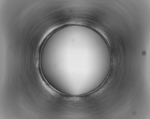 X0000090701131200707200922