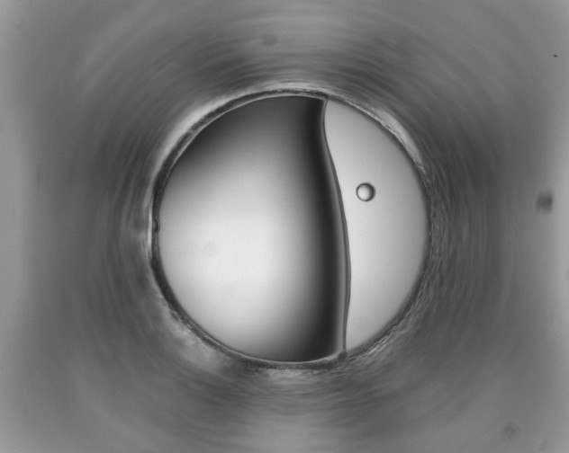 X0000090701132200707200922