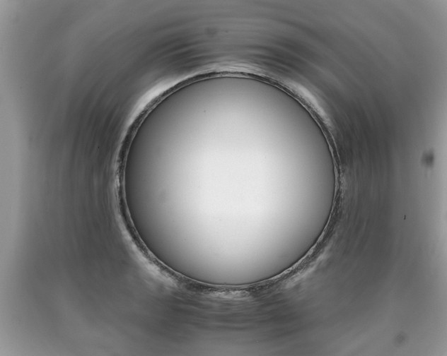 X0000090701133200707200922