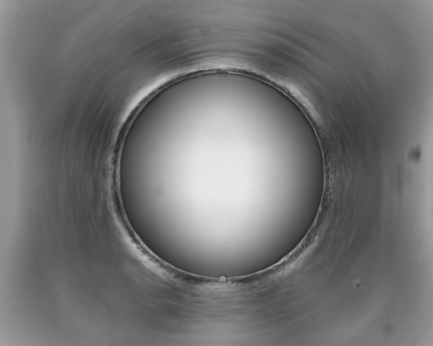 X0000090701134200707200922