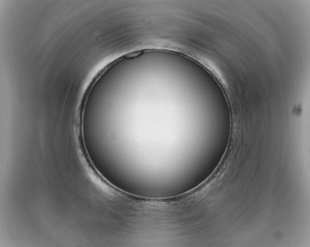 X0000090701136200707200922