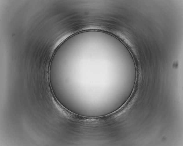 X0000090701137200707200922