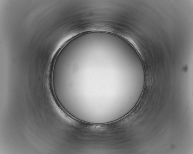 X0000090701139200707200923