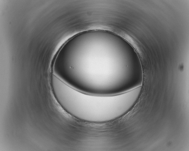 X0000090701140200707200923