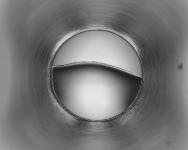 X0000090701142200707200923