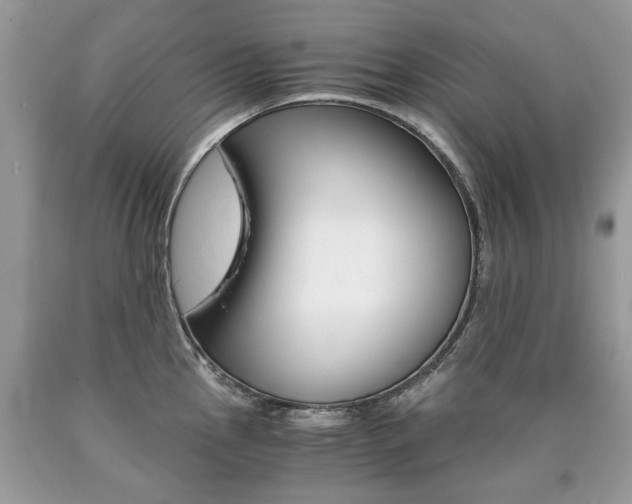 X0000090701145200707200923