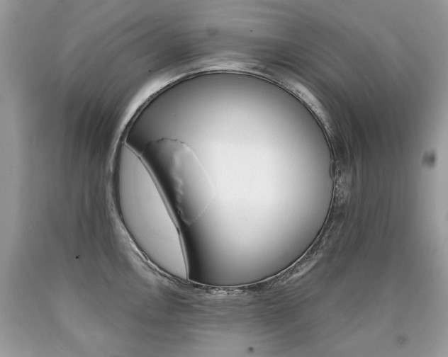 X0000090701146200707200923