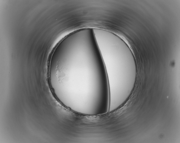 X0000090701147200707200923