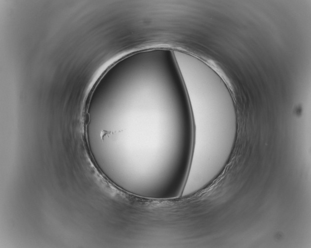 X0000090701148200707200923