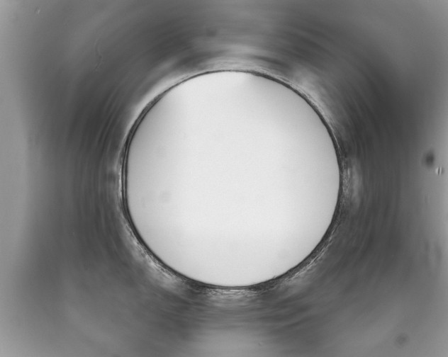 X0000090701150200707200923