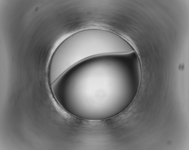 X0000090701152200707200923