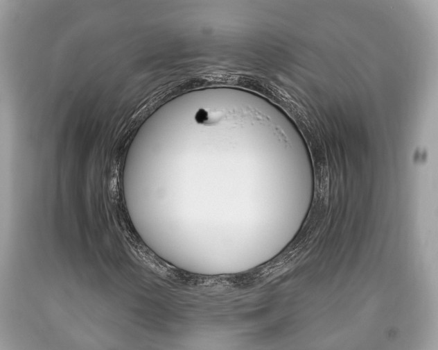 X0000090701154200707200922