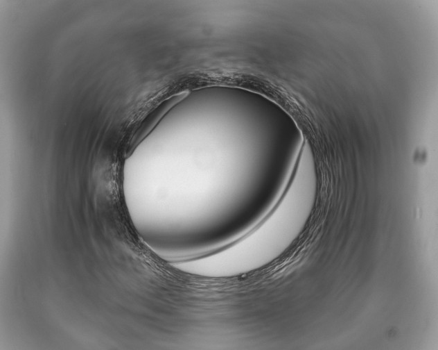 X0000090701156200707200922
