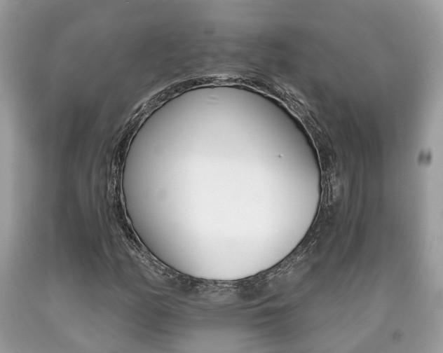 X0000090701158200707200922