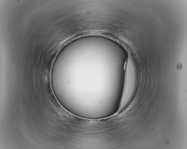 X0000090701161200707200922