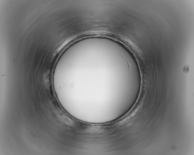 X0000090701162200707200922