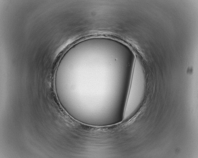 X0000090701165200707200922