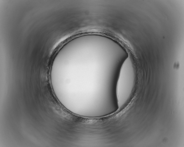X0000090701166200707200922
