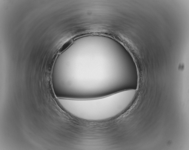 X0000090701169200707200922