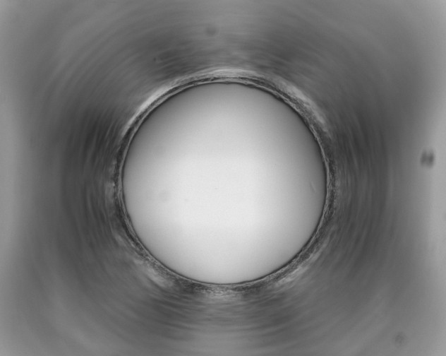 X0000090701170200707200922