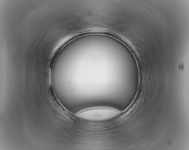 X0000090701171200707200922