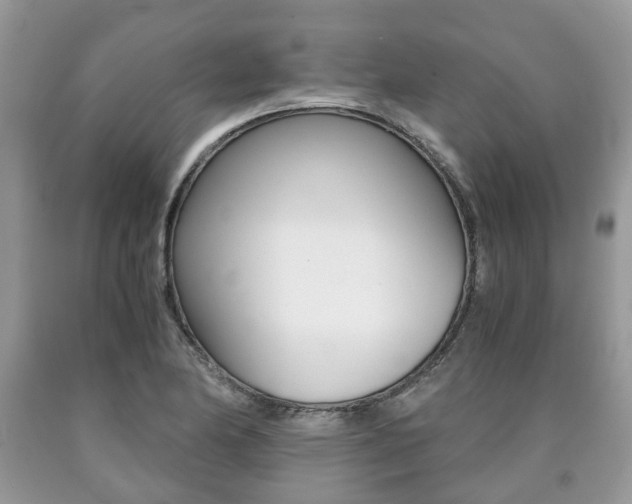 X0000090701174200707200922