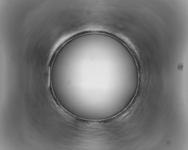 X0000090701175200707200922