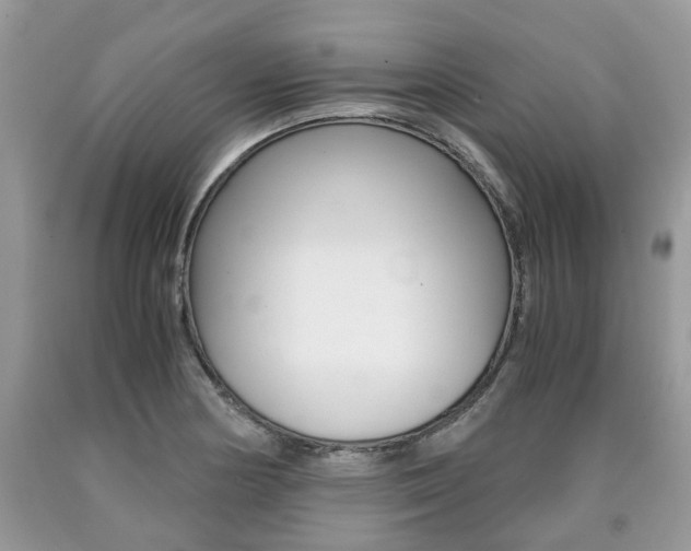 X0000090701178200707200922